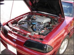 Mustang1